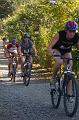 triflers2008 11750